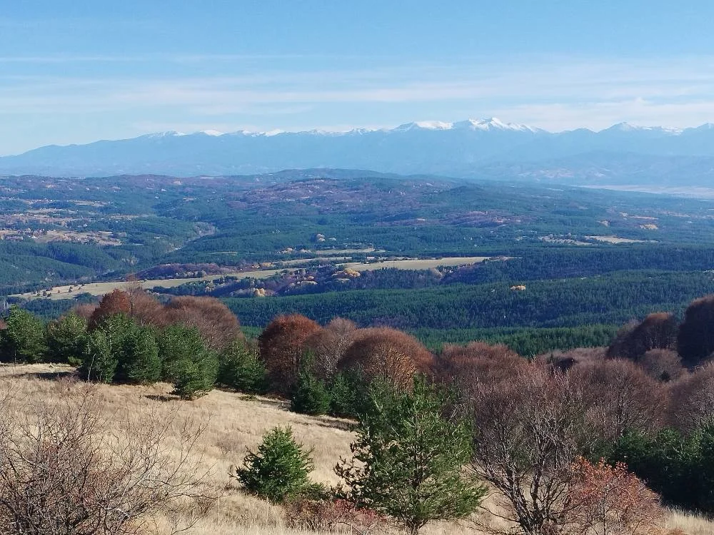 Планината Мургаш