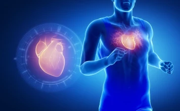 „Спортното сърце“: как да тренираме издръжливост без да натоварим прекалено сърцето спортно сърце