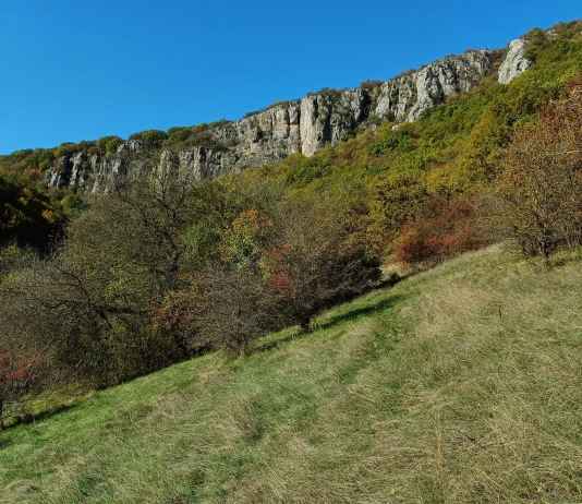 Беледие хан