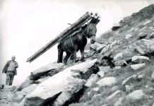 Историята на заслон „Тевно езеро“ Историята на заслон „Тевно езеро“