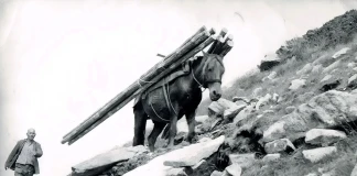 Историята на заслон „Тевно езеро“