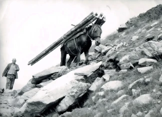 Историята на заслон „Тевно езеро“ Историята на заслон „Тевно езеро“