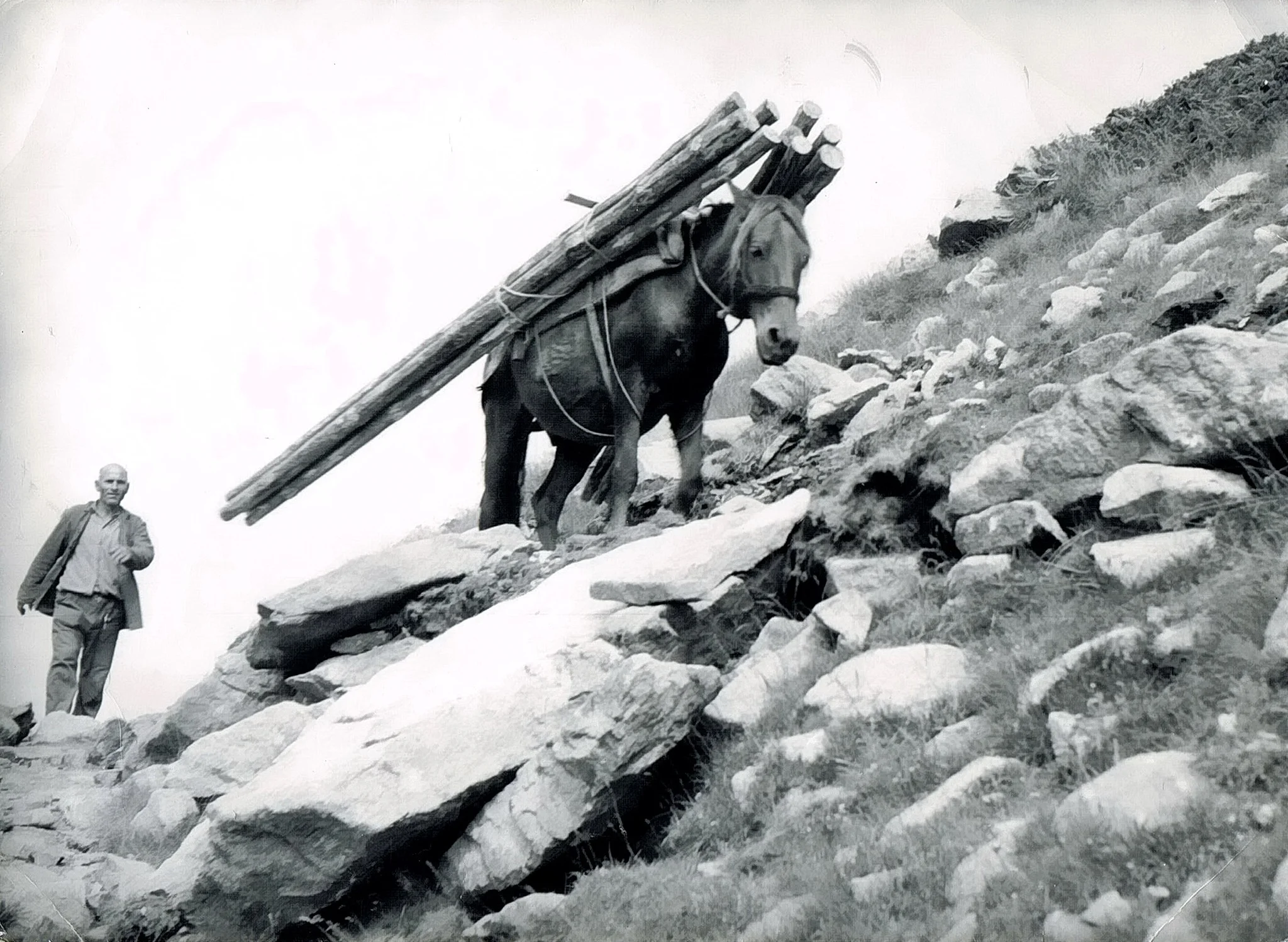 Историята на заслон „Тевно езеро“