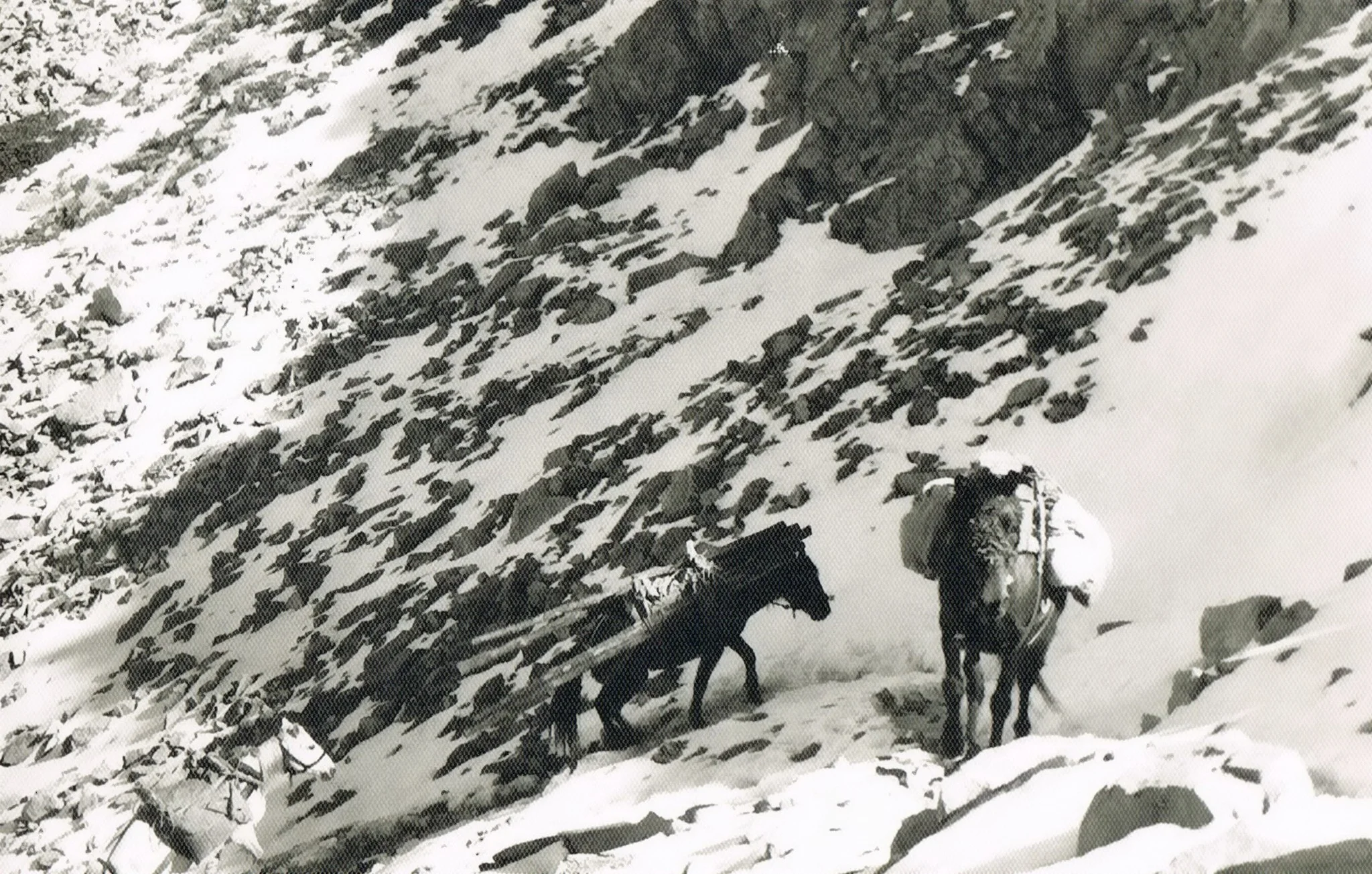 Историята на заслон „Тевно езеро“